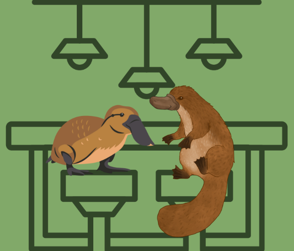 Screenshot 2026-01-21 145724 Screenshot 2026-01-21 145724