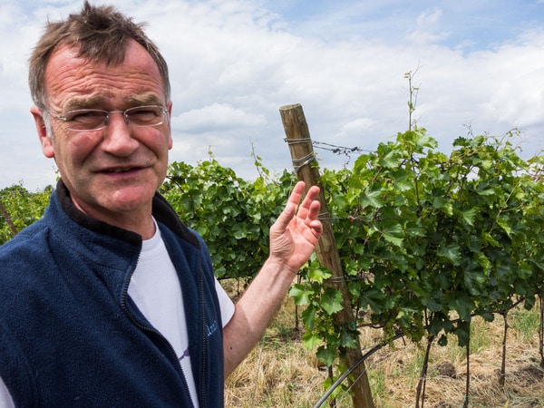 Weingut Umathum